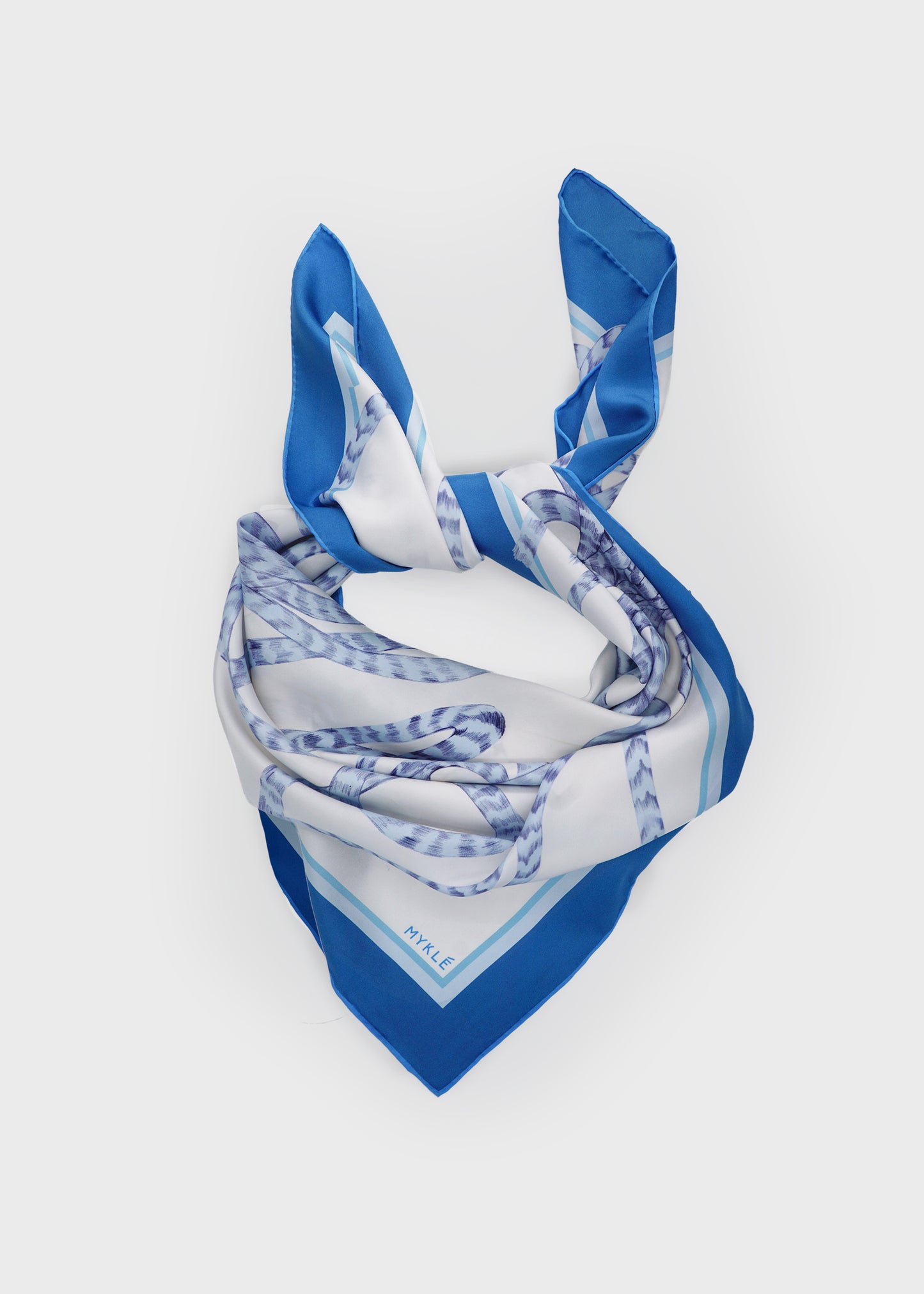 Ropes Entwine - Blue